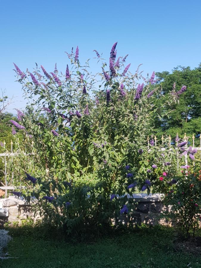 Apartmani Adria Οπατία Εξωτερικό φωτογραφία