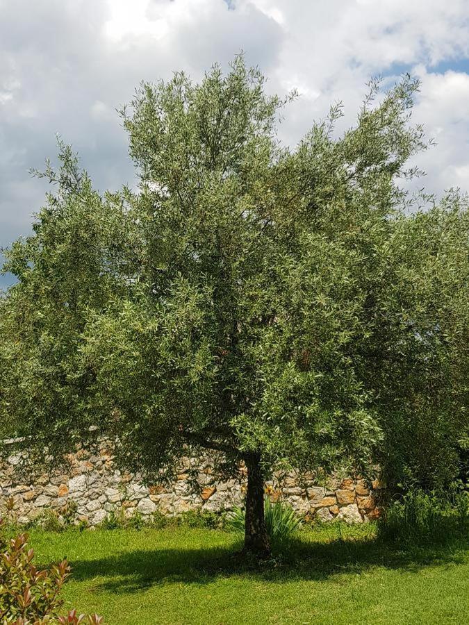 Apartmani Adria Οπατία Εξωτερικό φωτογραφία