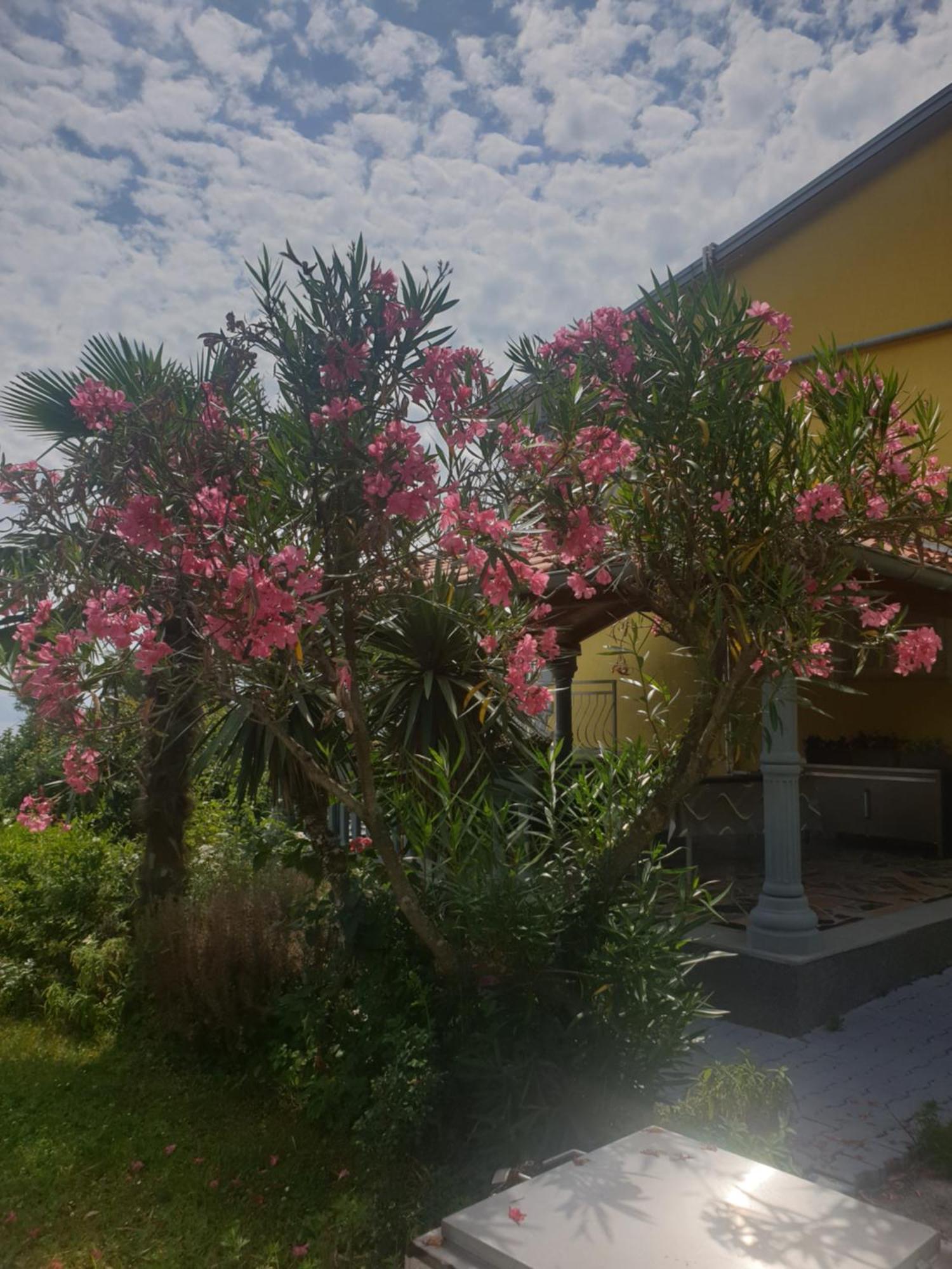 Apartmani Adria Οπατία Εξωτερικό φωτογραφία